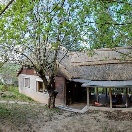 Zöld Sziget Vendégház Balatonkenese Kültér fotó
